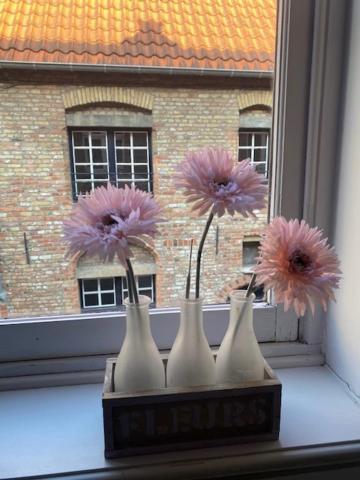 Brugges By Lot 4 Alloggio in famiglia *